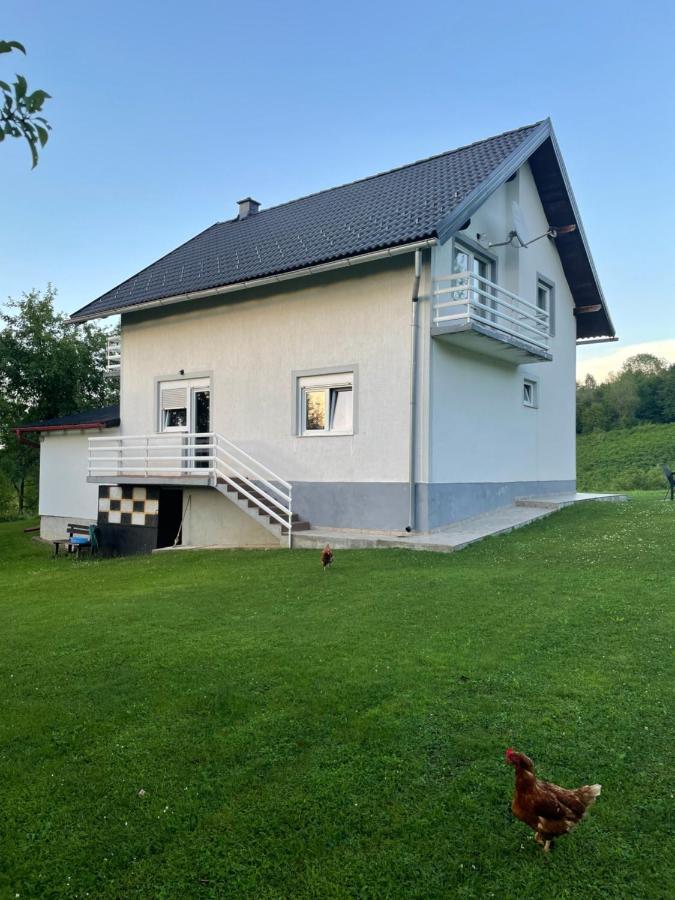 Apartman Mile - Holiday House Smoljanac Extérieur photo